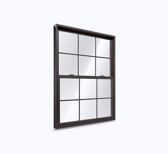 Double Hung Windows | Renewal by Andersen of British Columbia | Delta